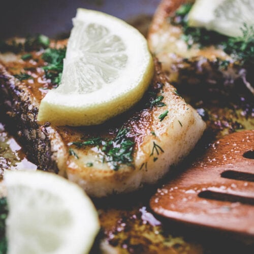 honey sea bass