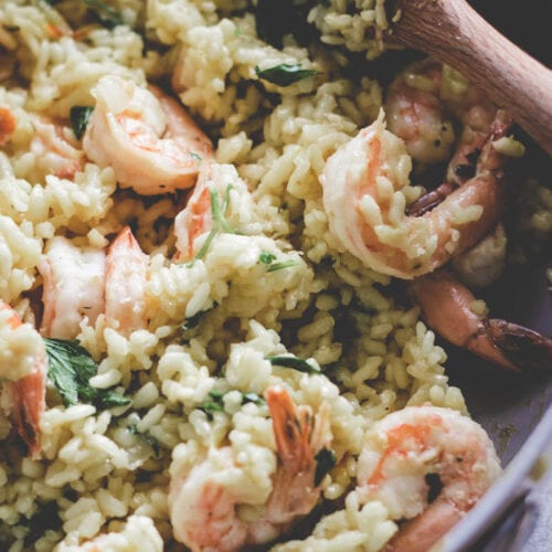 amazing shrimp and zucchini risotto without wine