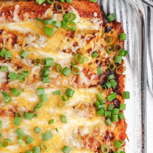 cheesy black bean and butternut squash enchiladas