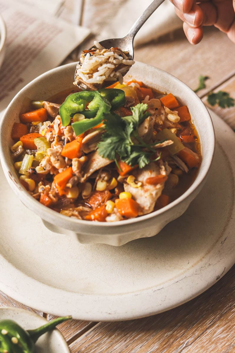 best spanish chicken soup with rice