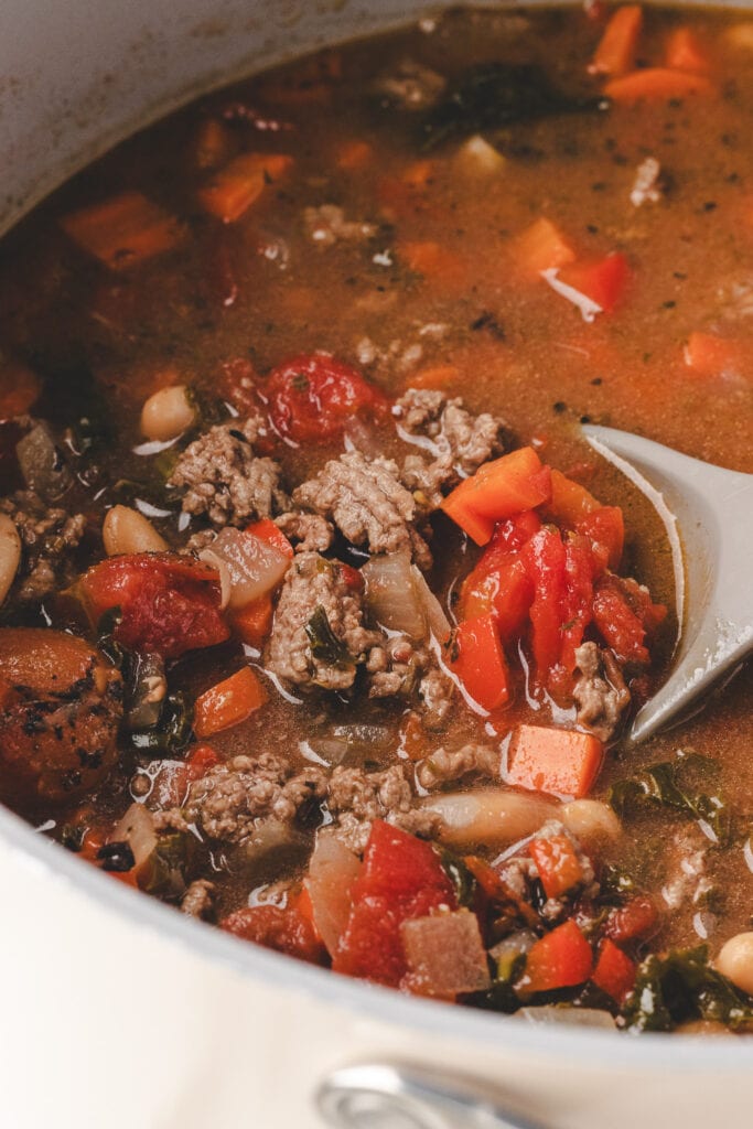 close up picture of italian beef soup.