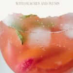 nectarine sangria pinterest pin