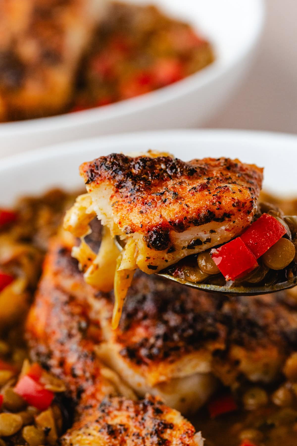 Close-up of a fork holding a piece of seasoned, grilled chicken with lentils and red bell peppers, against a blurred background of similar dish. The chicken skin appears crispy and well-cooked.