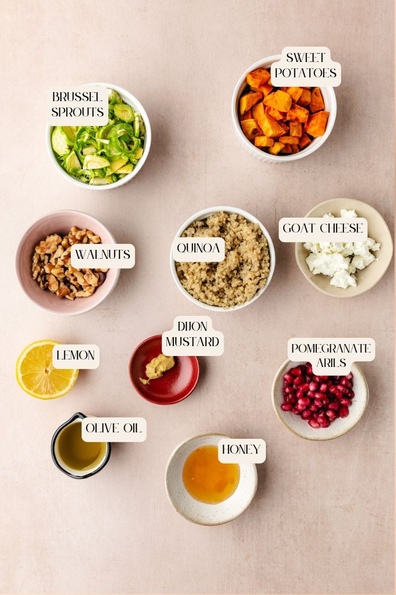 Top view of ingredients on a light surface for a vibrant goat cheese and pomegranate salad: bowls of brussels sprouts, sweet potatoes, quinoa, and walnuts; a lemon half, and small bowls of olive oil, Dijon mustard, honey. Each item is meticulously labeled for easy prep.