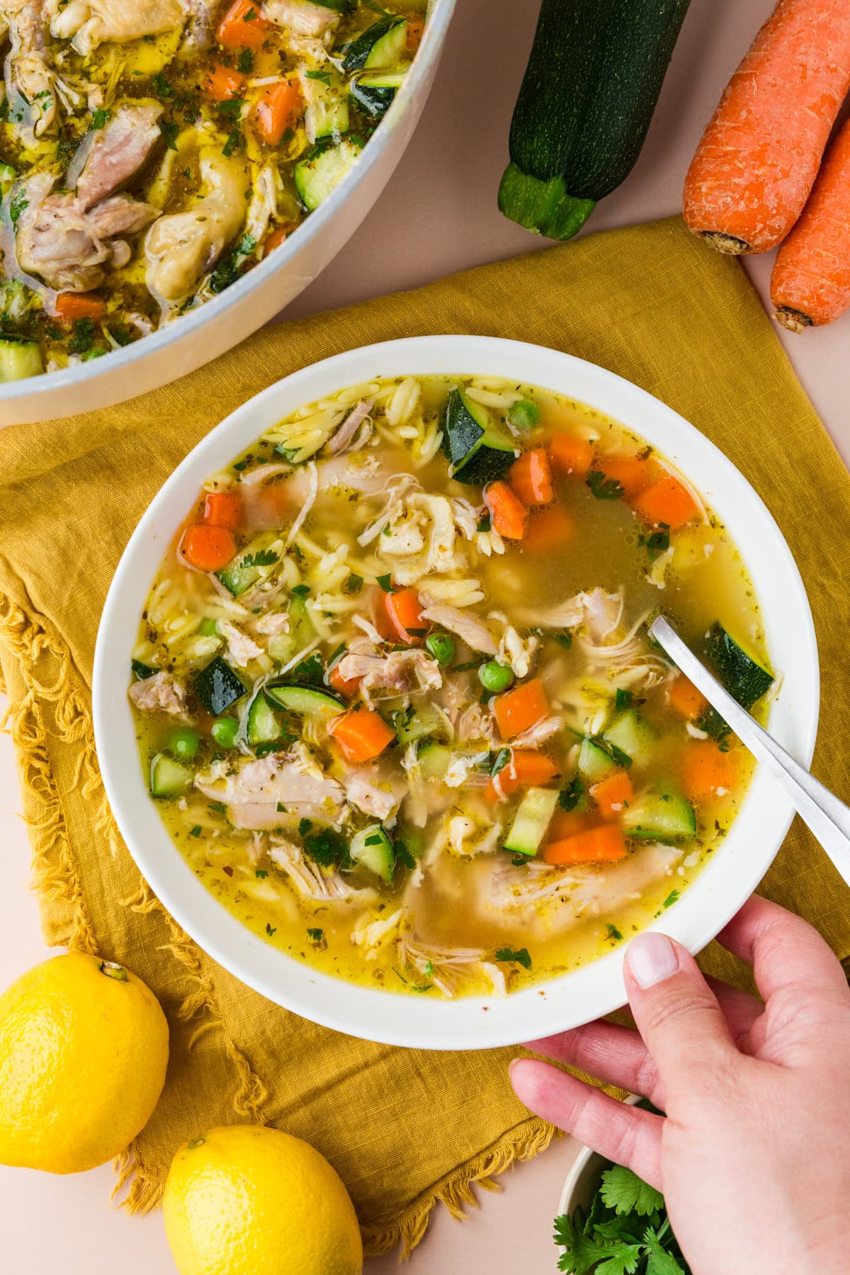 Lemony Spring Chicken Noodle Soup