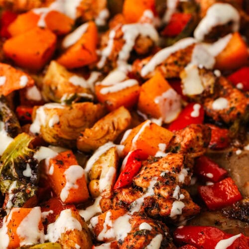 A close-up of a roasted sheet pan chicken breast meal with seasoned red bell peppers, Brussels sprouts, sweet potatoes, and a drizzle of creamy white sauce.