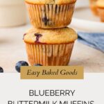 Two stacked Blueberry Buttermilk Muffins rest on a light surface, surrounded by fresh blueberries and another muffin in the background. Text reads Easy Baked Goods—Blueberry Buttermilk Muffins and whensaltyandsweetunite.com.