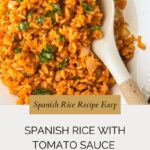 A plate of vibrant Spanish rice with chopped onions and green herbs, served with a white-handled spoon. Text overlay reads: “Spanish Rice Recipe Easy—spanish rice with tomato sauce (No Bouillon).”.