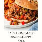 A seeded bun filled with flavorful bison sloppy joe's mix, served alongside sweet potato fries and ketchup on a white plate. Text below reads: Easy Homemade Bison Sloppy Joe’s – bison recipes.