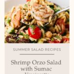 A fork lifts shrimp, orzo, tomatoes, and herbs above a bowl of Shrimp Orzo Salad. Text reads: Shrimp Orzo Salad with Sumac Vinaigrette. Summer Salad Recipes. whensaltyandsweetunite.com.